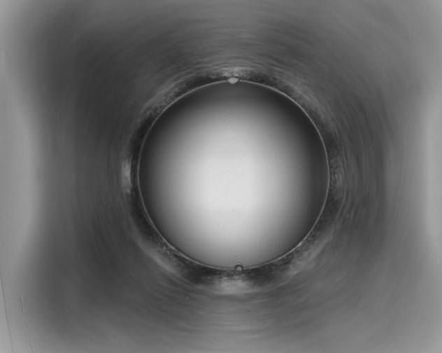 X0000116130262200911301353