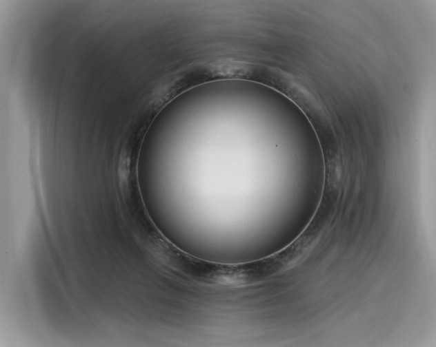 X0000116130263200911301353