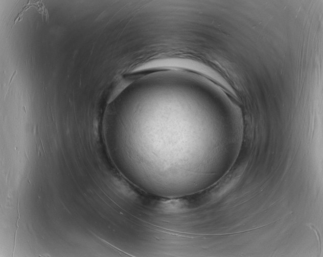 X0000116130269200911301353