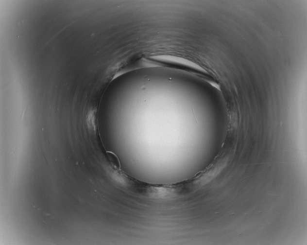 X0000116130286200911301353