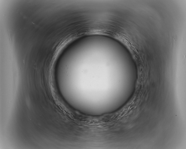 X0000116130289200911301352