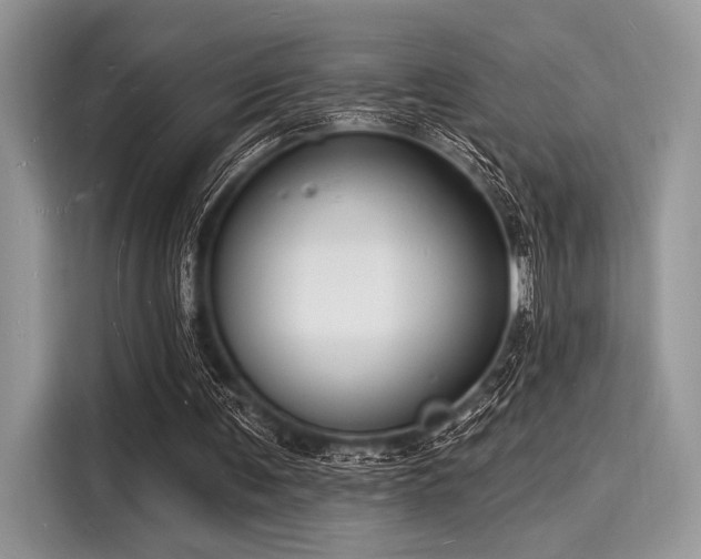 X0000116130291200911301352