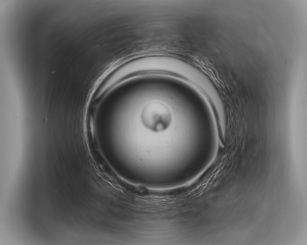 X0000116130292200911301352