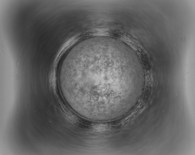 X0000116130293200911301352