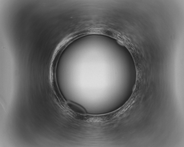 X0000116130294200911301352