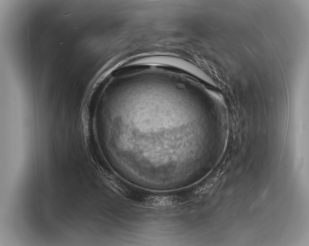 X0000116130295200911301352