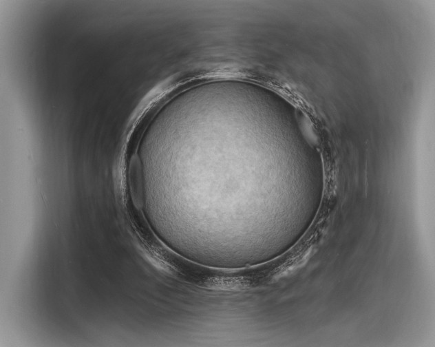 X0000116130296200911301352