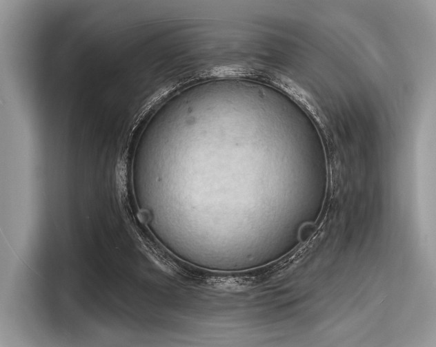 X0000116130297200911301352