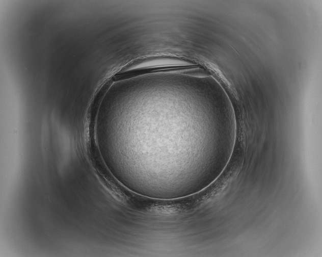 X0000116130299200911301352