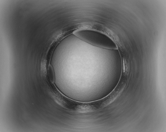 X0000116130300200911301352