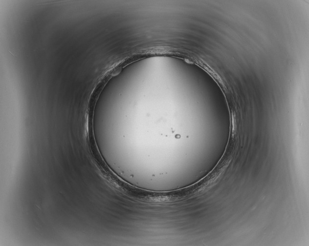 X0000116130301200911301352