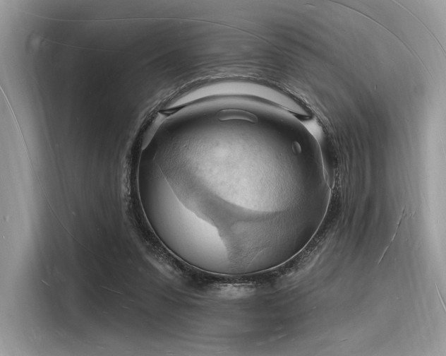 X0000116130303200911301352