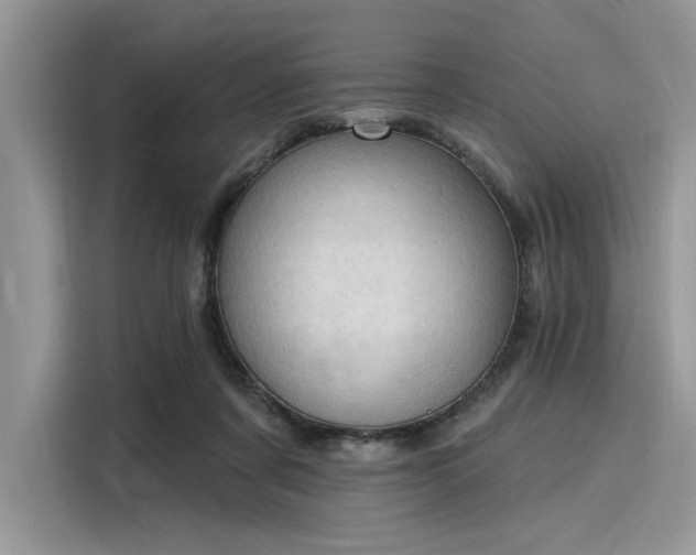 X0000116130311200911301352