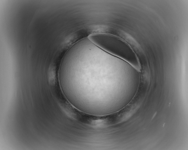 X0000116130312200911301352