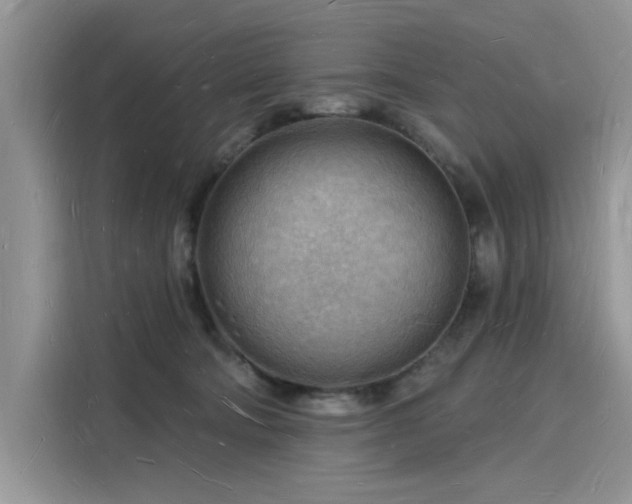 X0000116130322200911301352