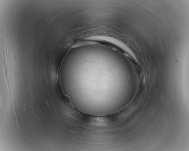 X0000116130324200911301352