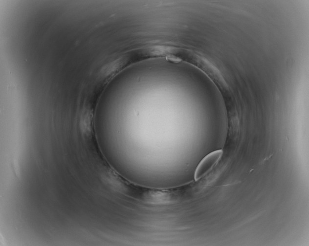 X0000116130325200911301352