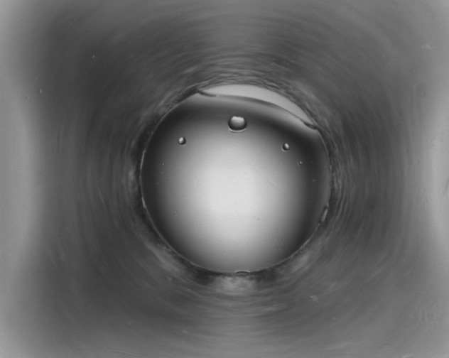 X0000116130327200911301352