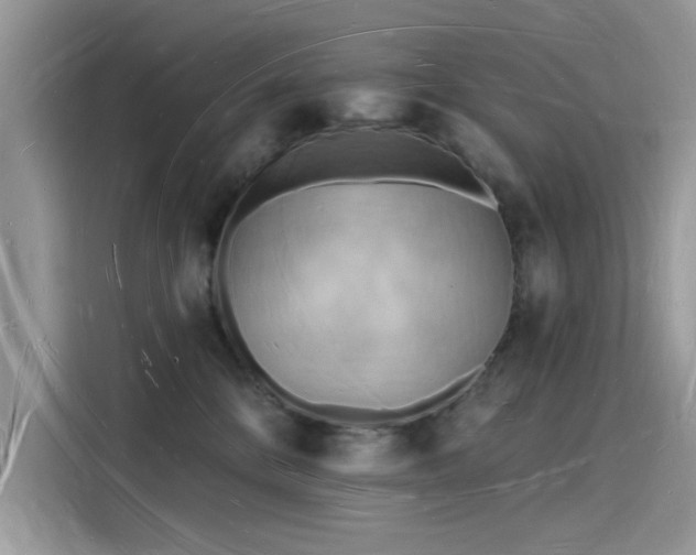X0000116130328200911301352