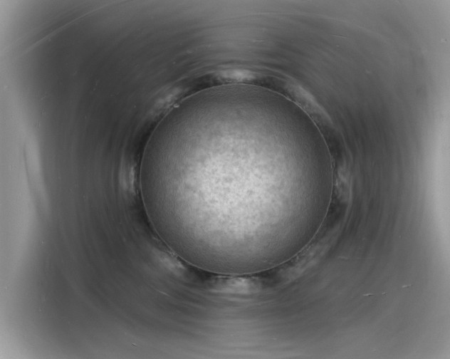 X0000116130330200911301352