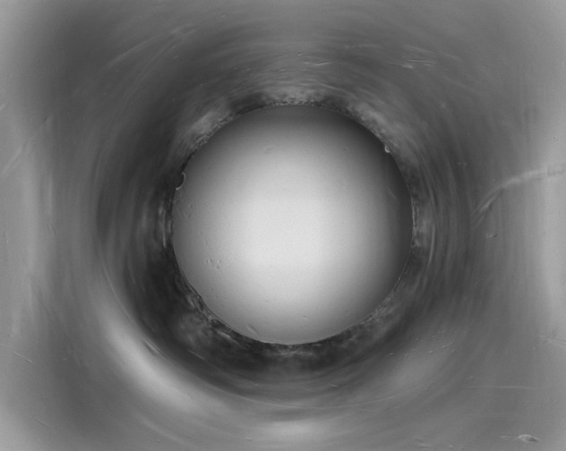X0000116130334200911301352