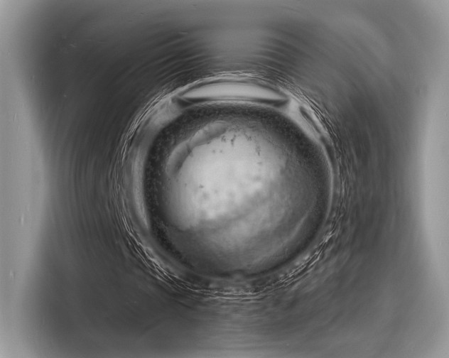 X0000116130337200911301351