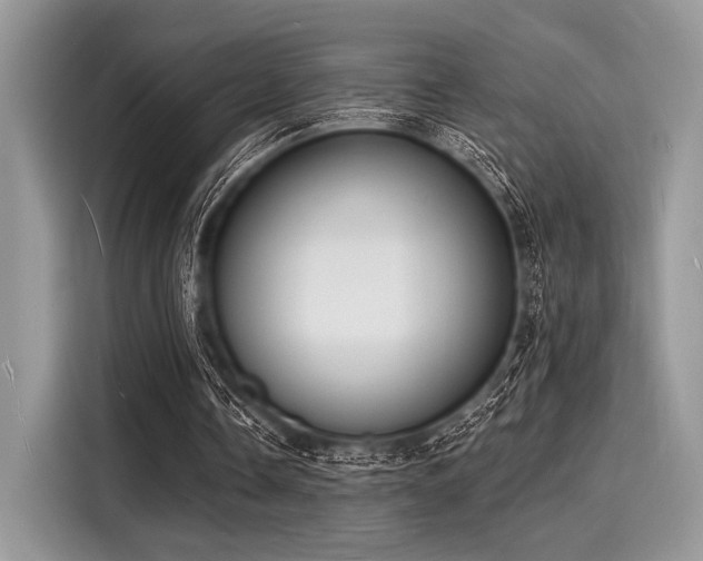 X0000116130338200911301351