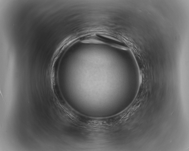 X0000116130339200911301351