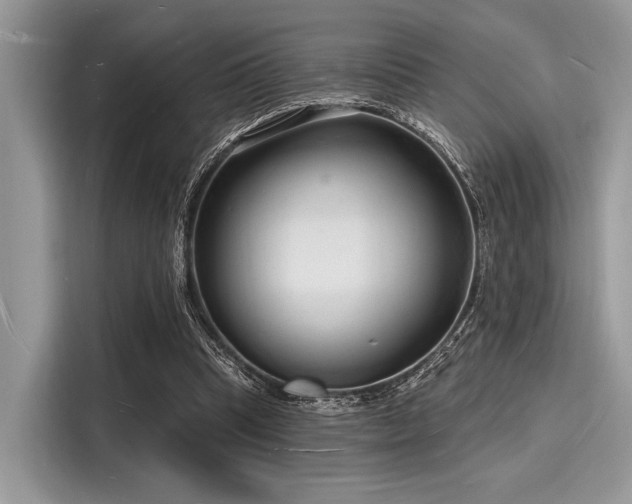 X0000116130345200911301351