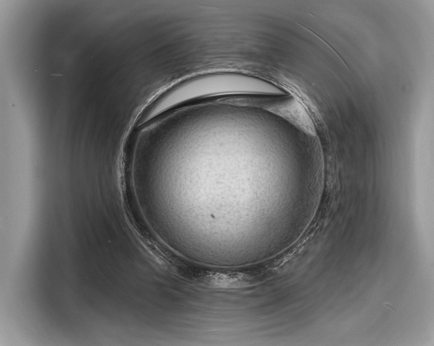 X0000116130346200911301351