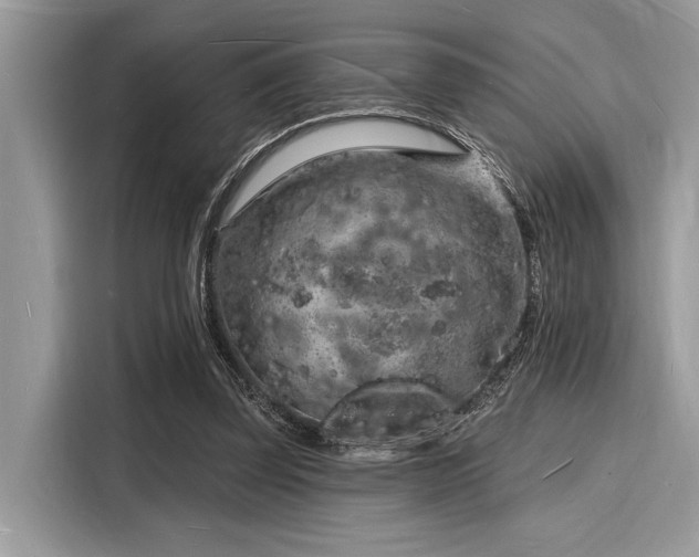X0000116130347200911301351