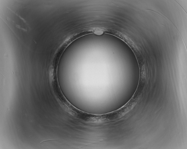 X0000116130351200911301351