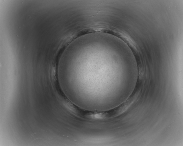 X0000116130365200911301352