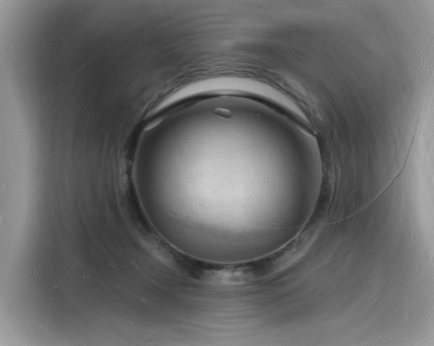 X0000116130366200911301352