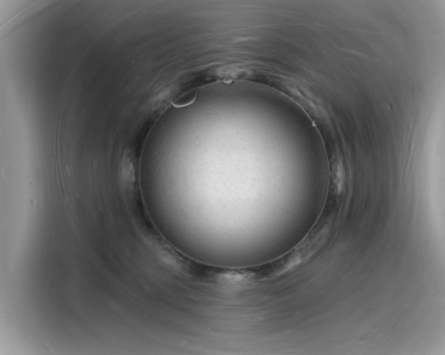 X0000116130375200911301352