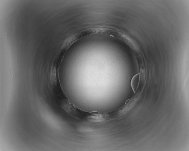 X0000116130381200911301352
