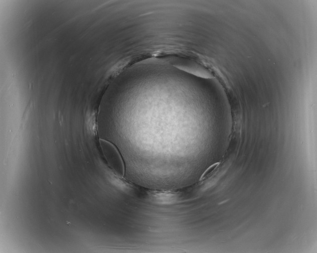 X0000116130383200911301352