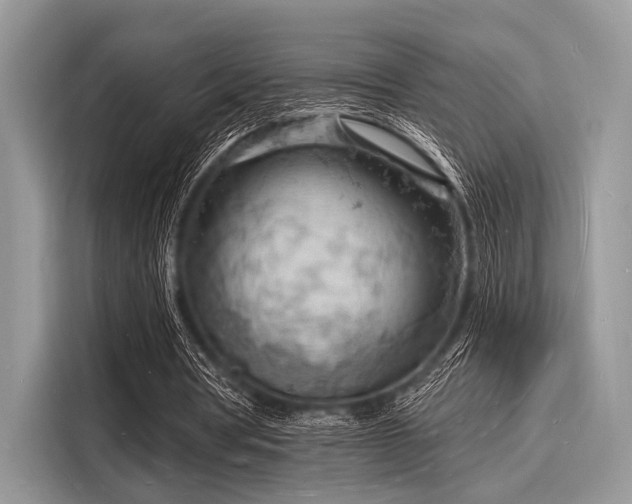 X0000116130386200911301351