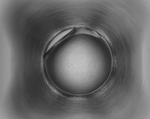 X0000116130389200911301351