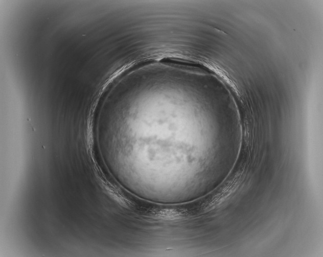 X0000116130390200911301351