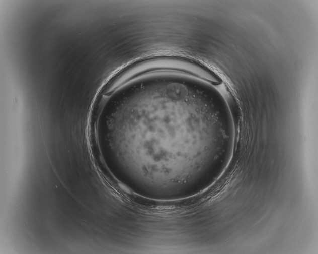 X0000116130391200911301351