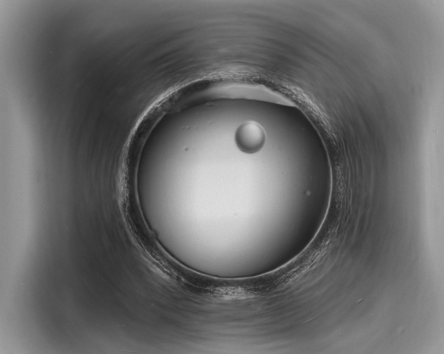 X0000116130392200911301351