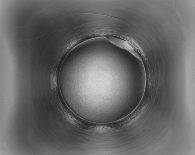 X0000116130393200911301351