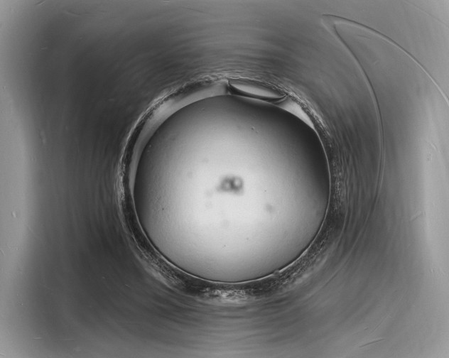 X0000116130395200911301351