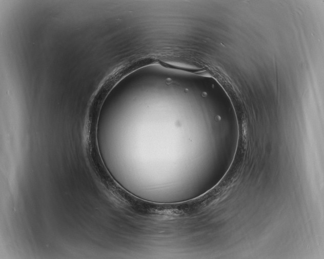 X0000116130396200911301351