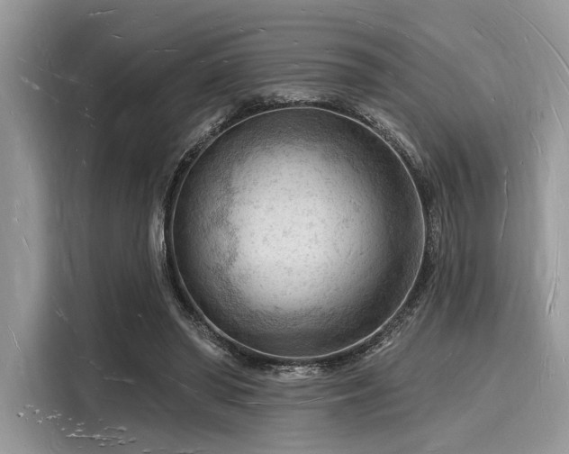 X0000116130398200911301351