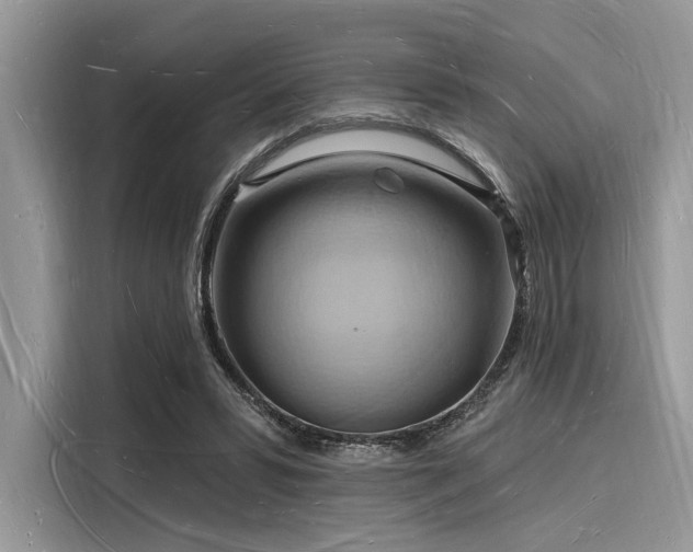 X0000116130399200911301351