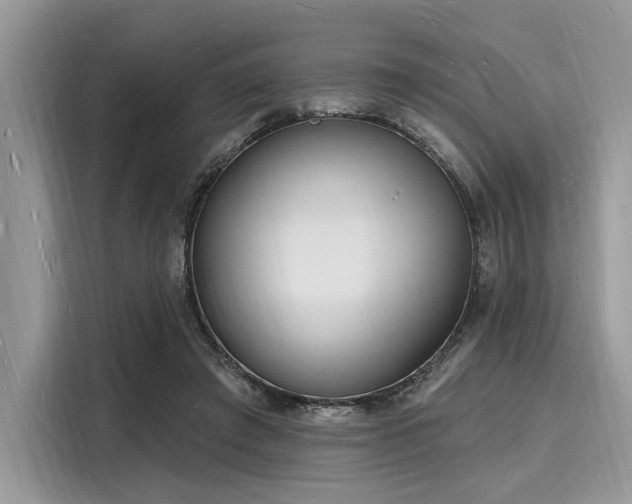 X0000116130401200911301351