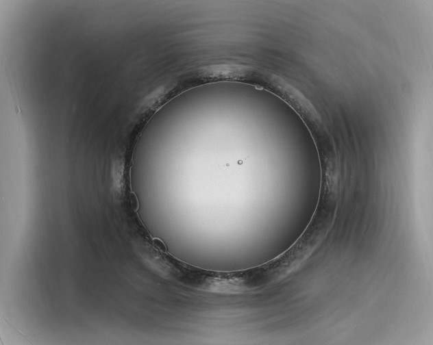 X0000116130403200911301351