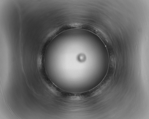 X0000116130404200911301351